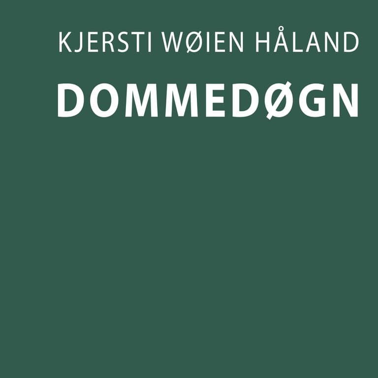Omslag Dommedøgn av Kjersti Wøien Håland (Lydbok)