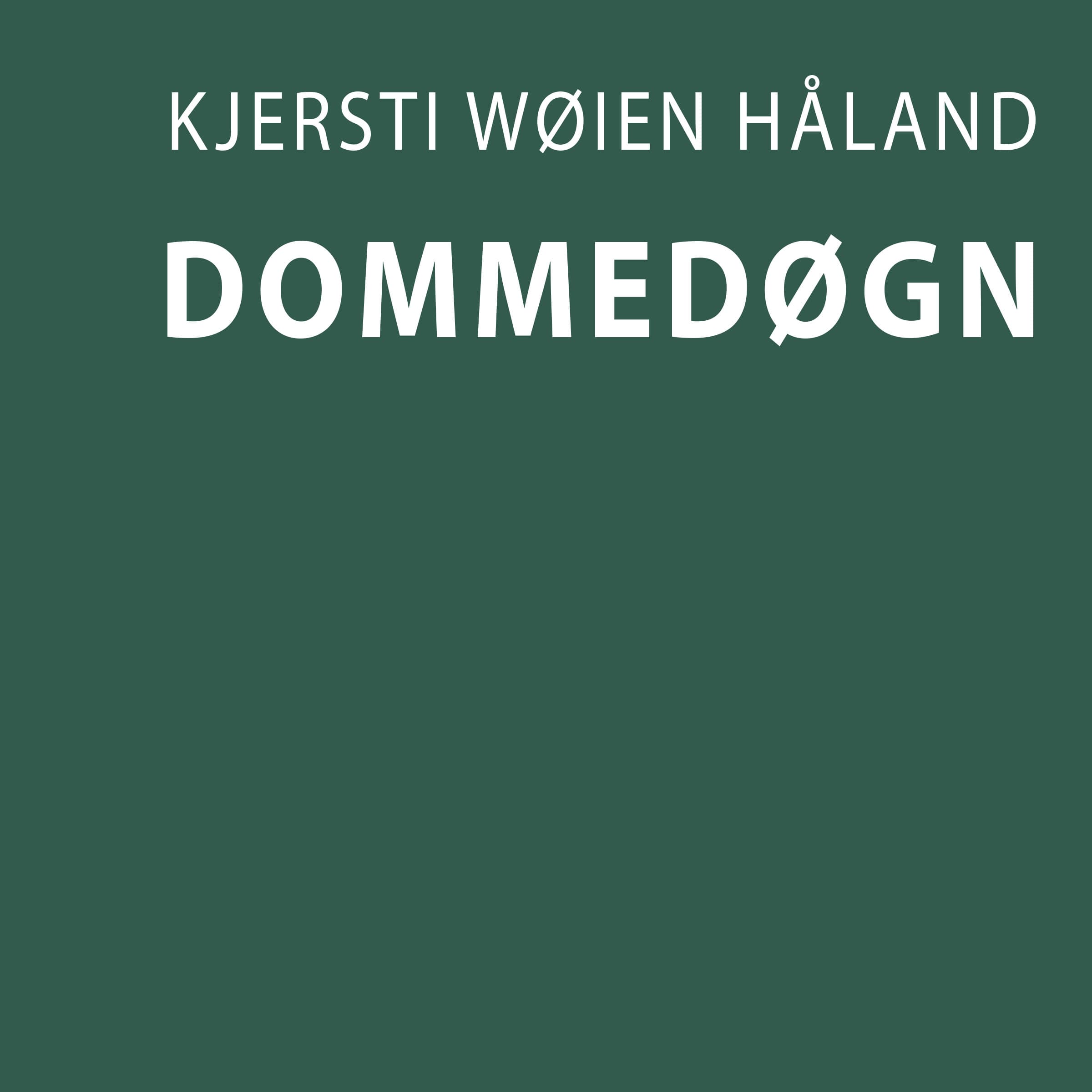 Omslag Dommedøgn av Kjersti Wøien Håland (Lydbok)