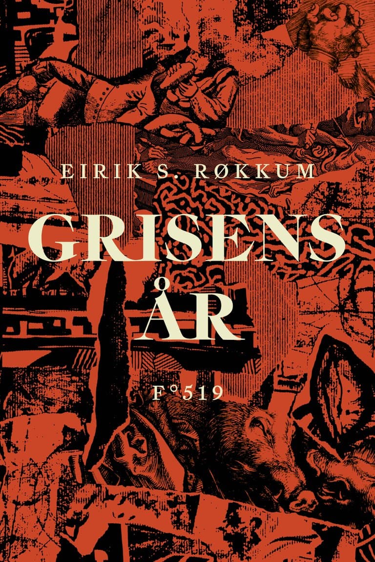 Omslag Grisens år av Eirik S. Røkkum (Ebok)