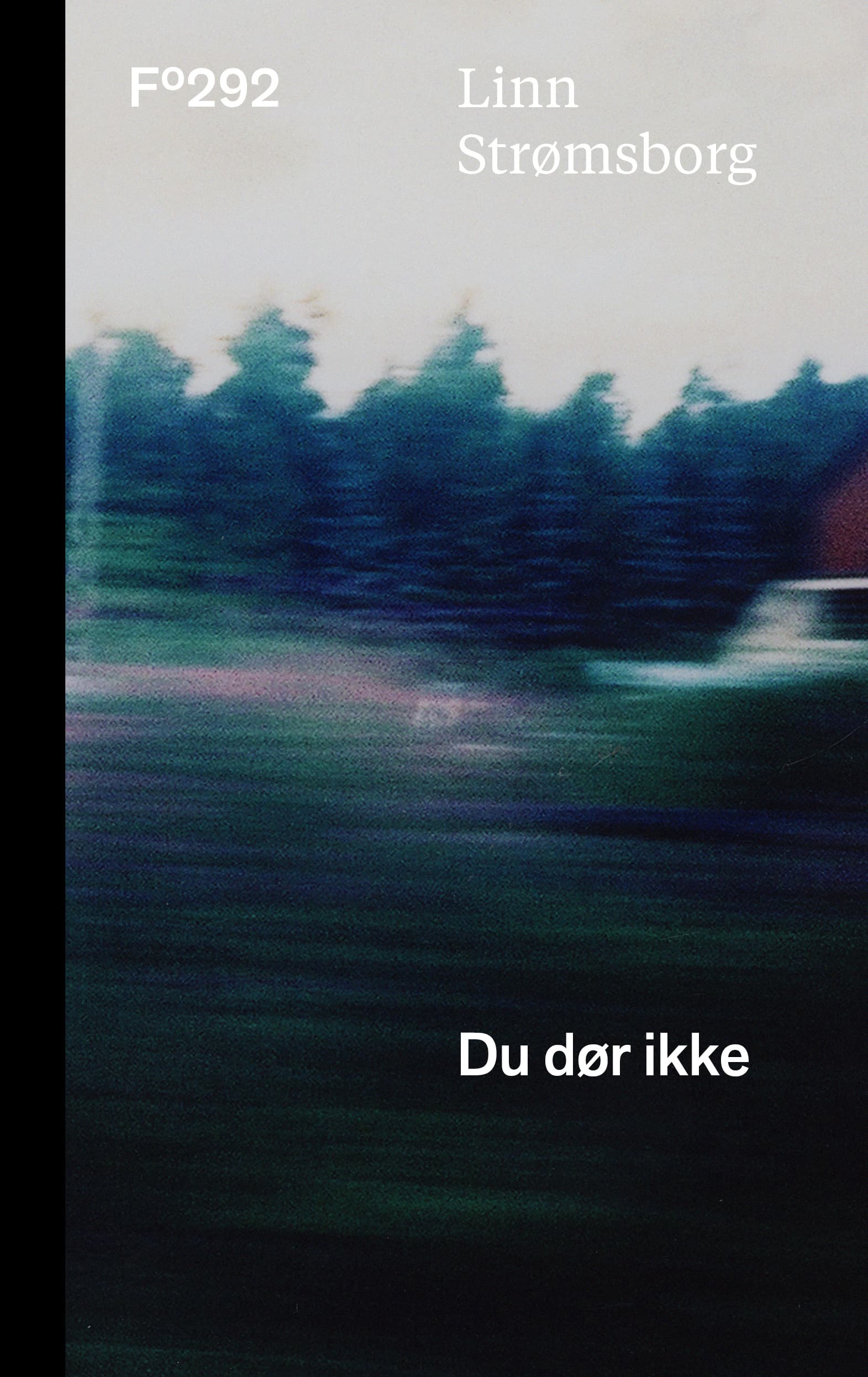 Omslag Du dør ikke av Linn Strømsborg (Ebok)