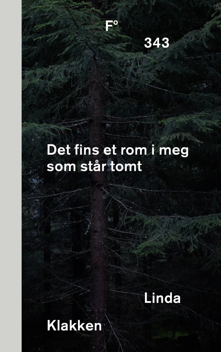 Omslag Det fins et rom i meg som står tomt av Linda Klakken (Innbundet)