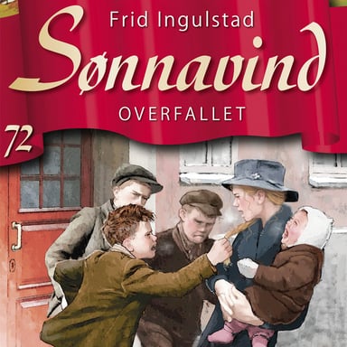 Omslag av "Overfallet"