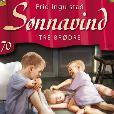 Omslag av "Tre brødre"