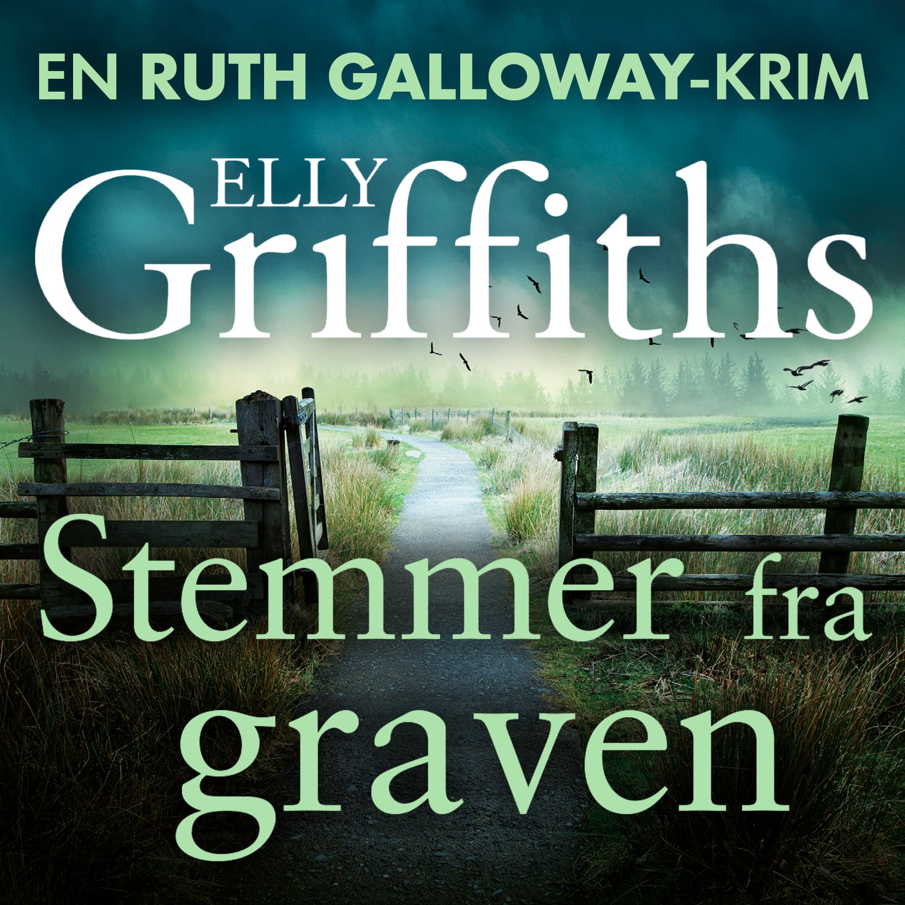 Omslag Stemmer fra graven av Elly Griffiths (Lydbok)