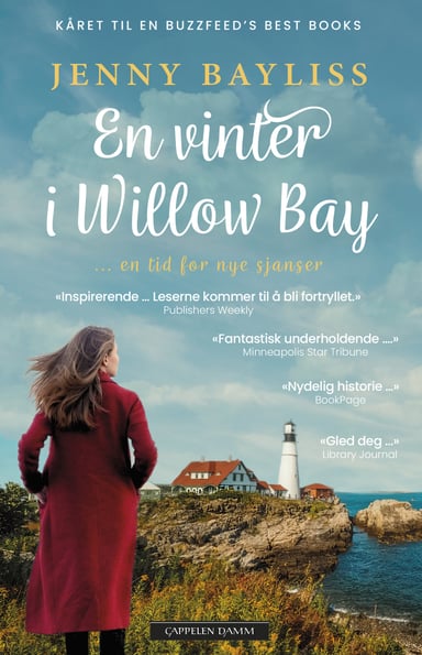 Omslag av "En vinter i Willow Bay"