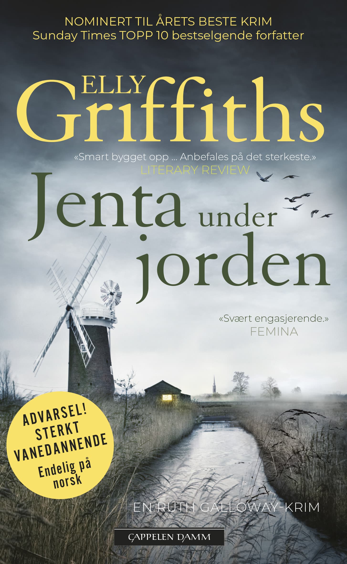 Omslag Jenta under jorden av Elly Griffiths (Ebok)