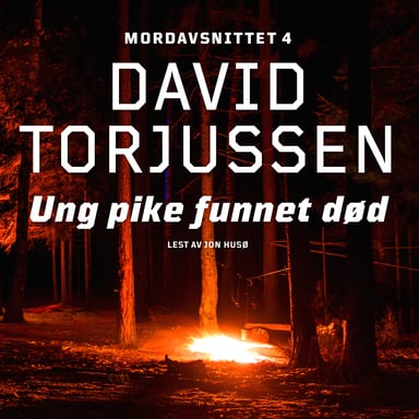 Omslag av "Ung pike funnet død"