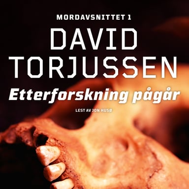 Omslag av "Etterforskning pågår"