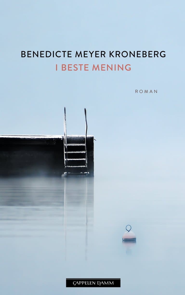 Omslag I beste mening av Benedicte Meyer Kroneberg (Innbundet)