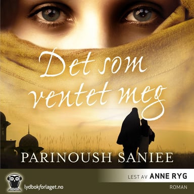 Omslag av "Det som ventet meg"