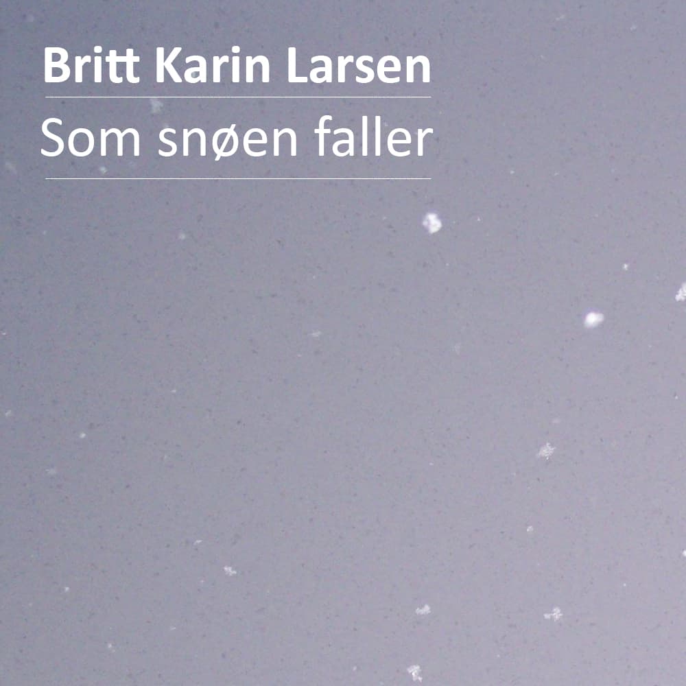Omslag Som snøen faller av Britt Karin Larsen (Lydbok)