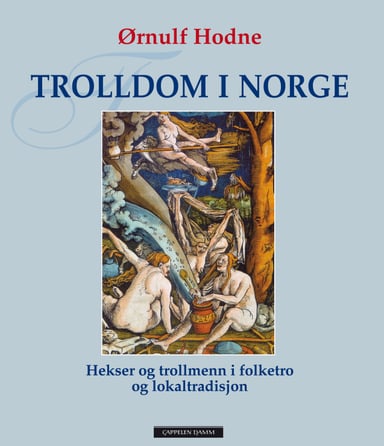 Omslag av "Trolldom i Norge"