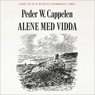 Alene med Vidda
