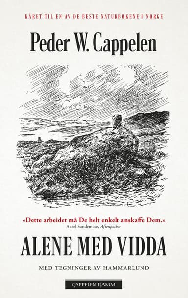 Alene med Vidda