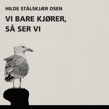 Omslag av "Vi bare kjører, så ser vi"