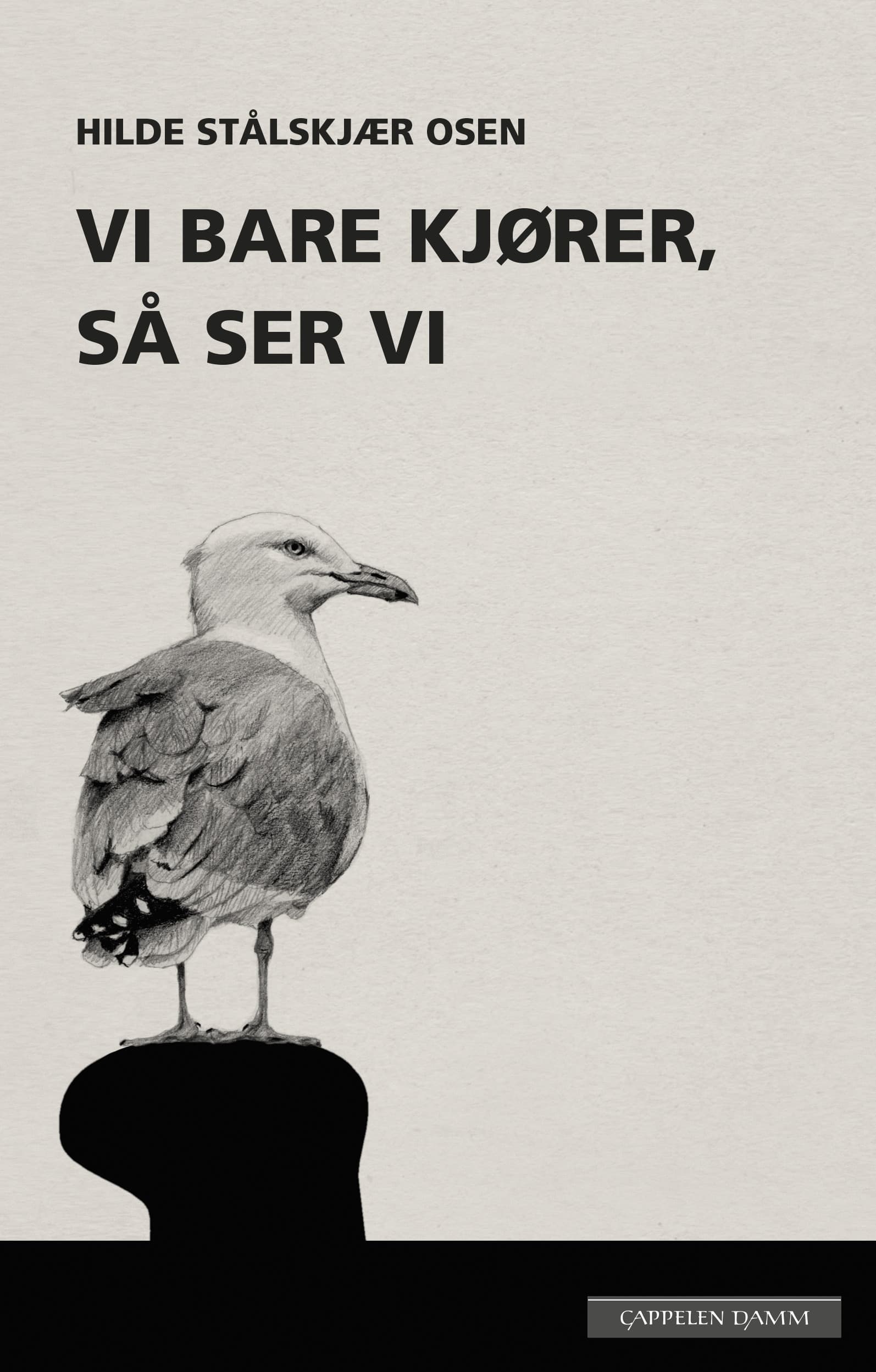Omslag Vi bare kjører, så ser vi av Hilde Stålskjær Osen (Ebok)