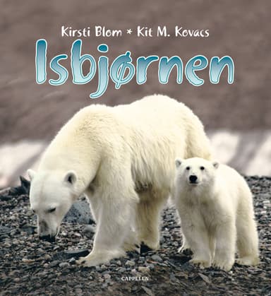 Isbjørnen