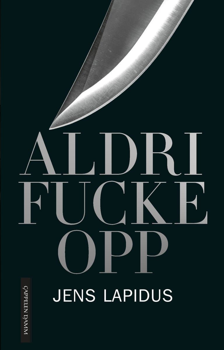 Omslag Aldri fucke opp av Jens Lapidus (Ebok)