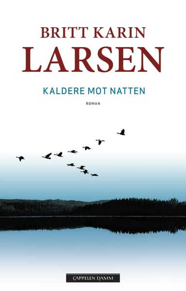 Omslag av "Kaldere mot natten"