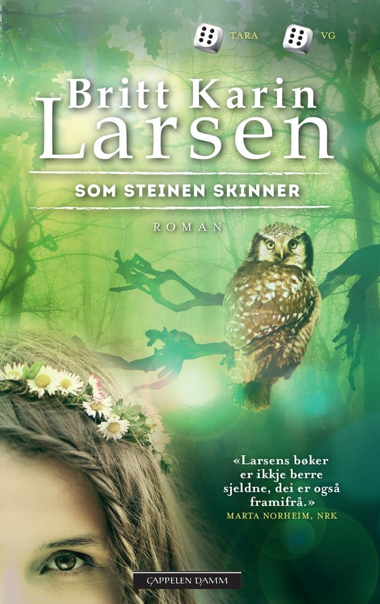 Omslag Som steinen skinner av Britt Karin Larsen (Heftet)