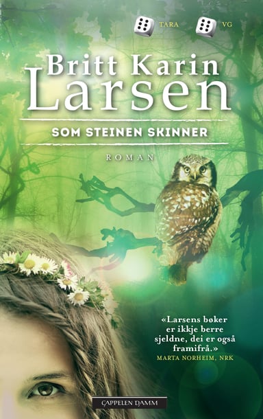 Omslag av "Som steinen skinner"