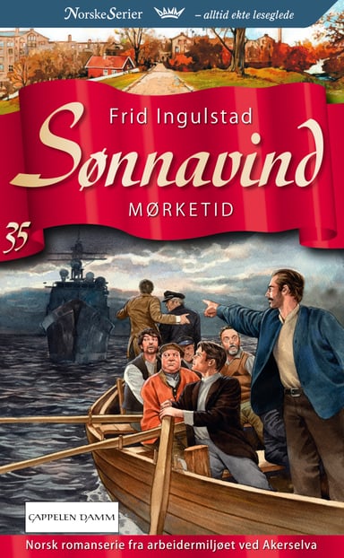 Omslag av "Mørketid"