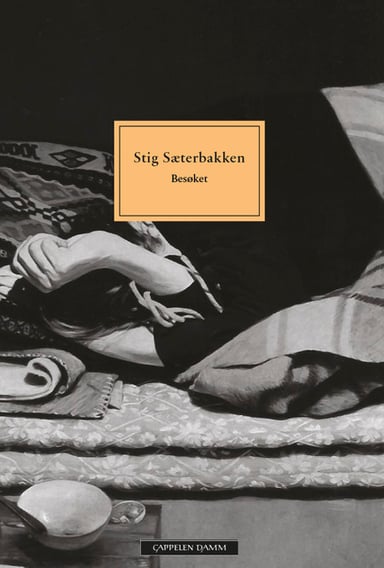 Omslag av "Besøket"