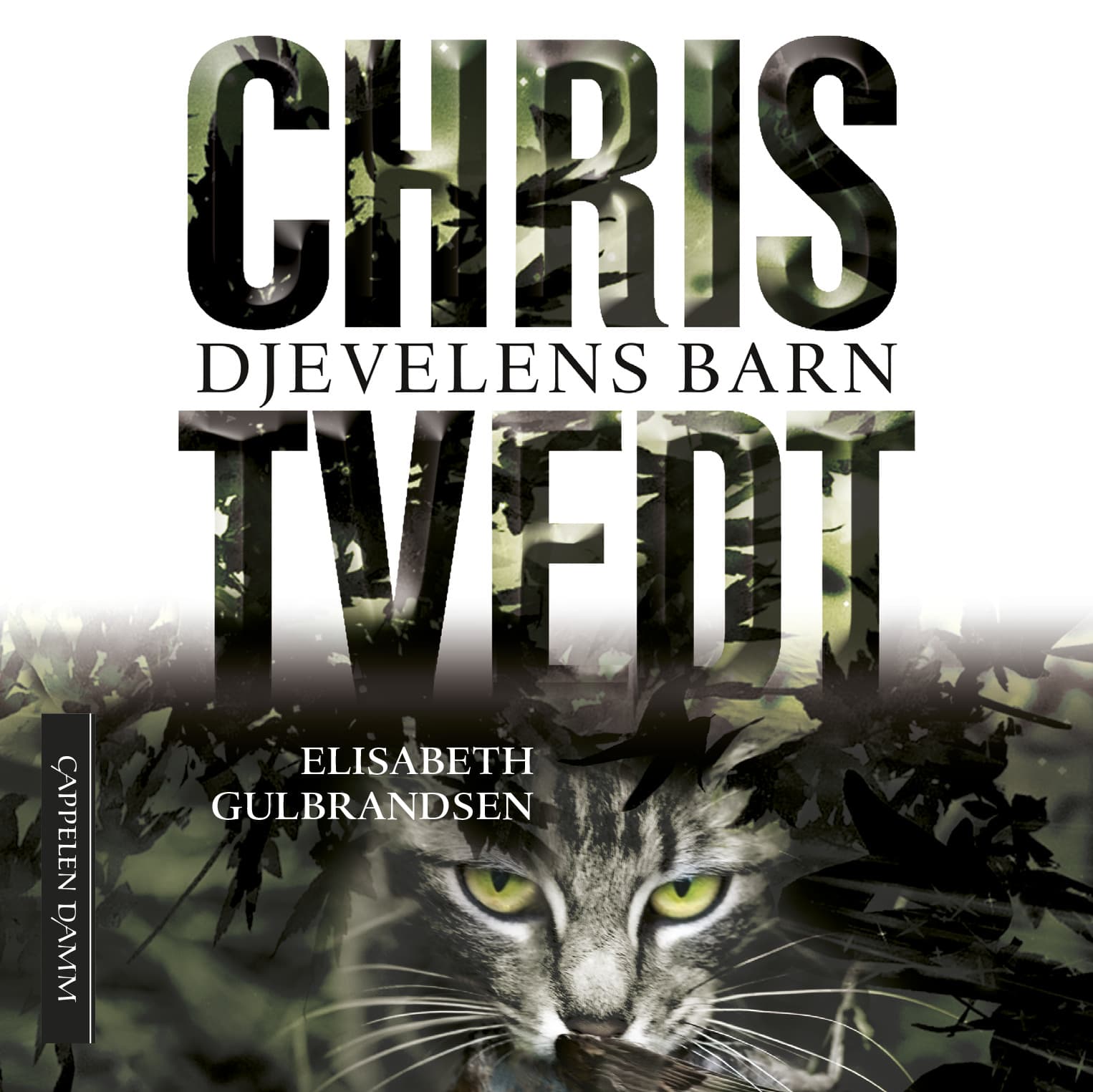 Omslag Djevelens barn av Chris Tvedt og Elisabeth Gulbrandsen (Lydbok)