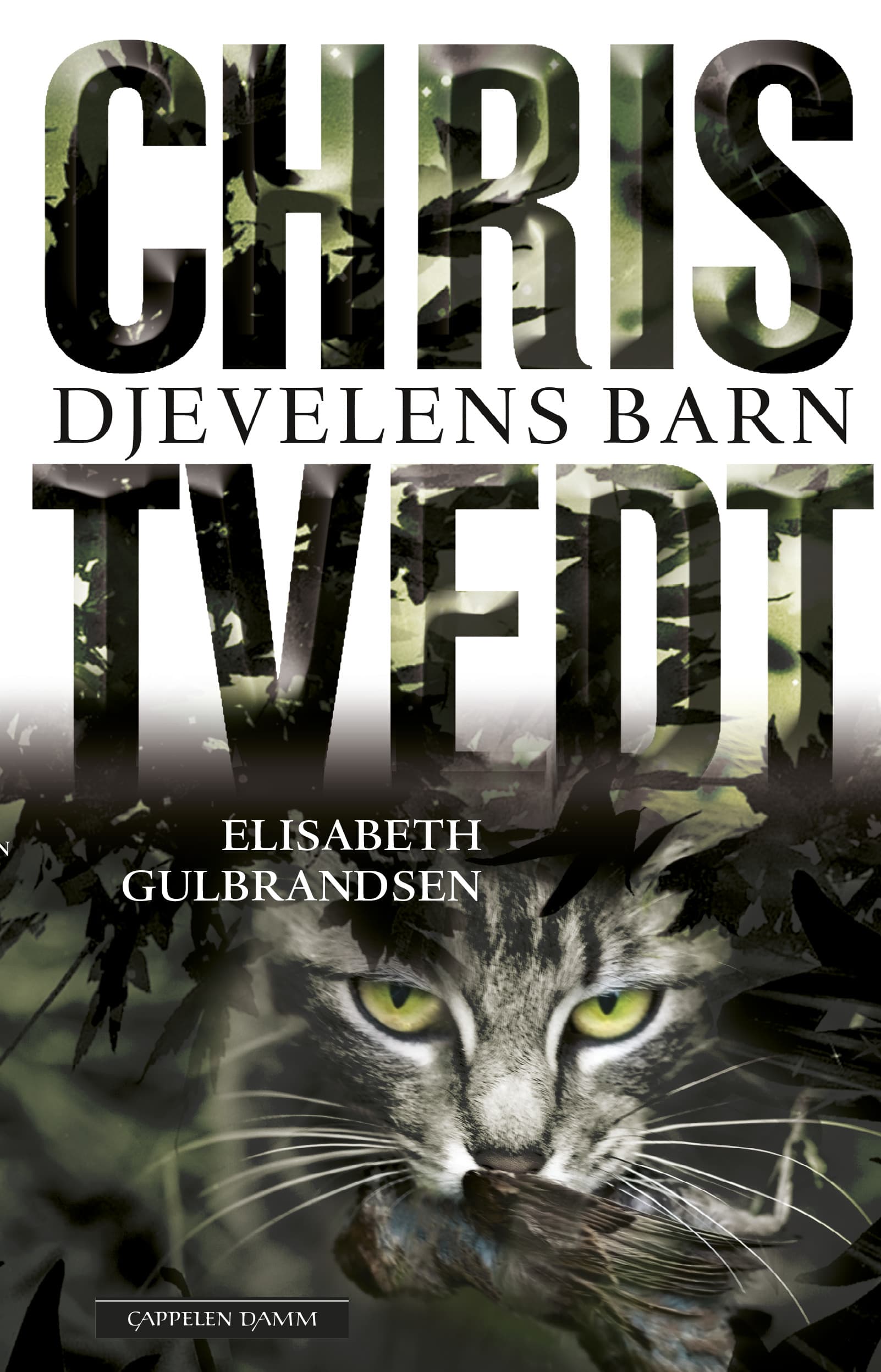 Omslag Djevelens barn av Chris Tvedt og Elisabeth Gulbrandsen (Innbundet)