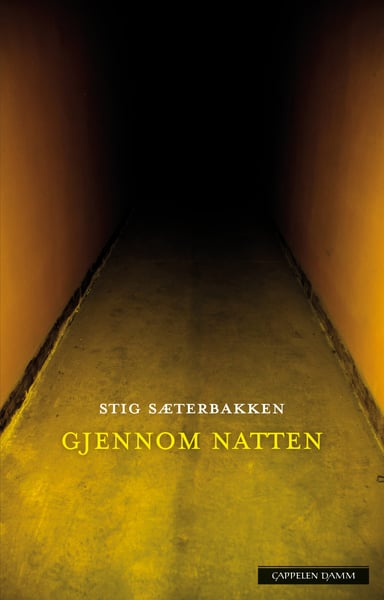 Omslag av "Gjennom natten"