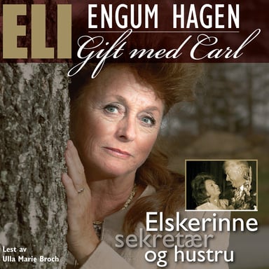 Omslag av "Elskerinne, sekretær og hustru"