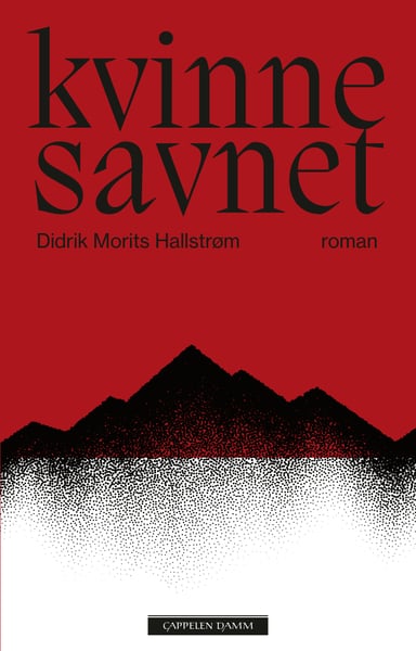 Omslag av "Kvinne savnet"