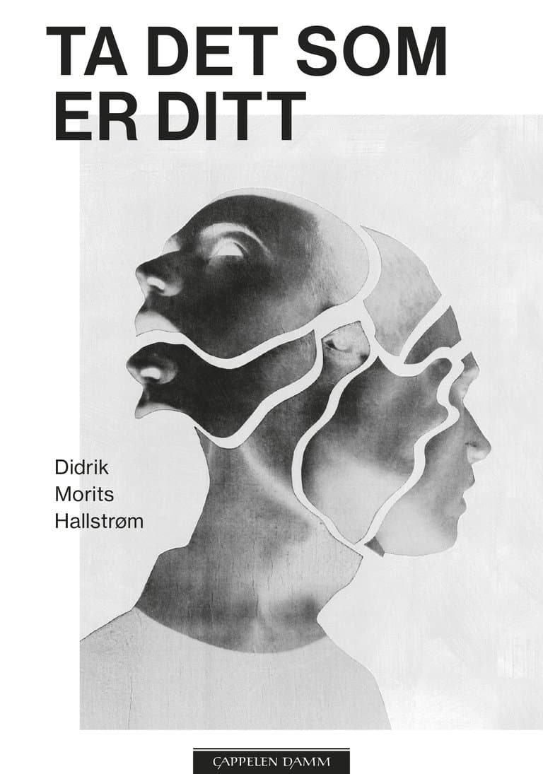 Omslag Ta det som er ditt av Didrik Morits Hallstrøm (Innbundet)