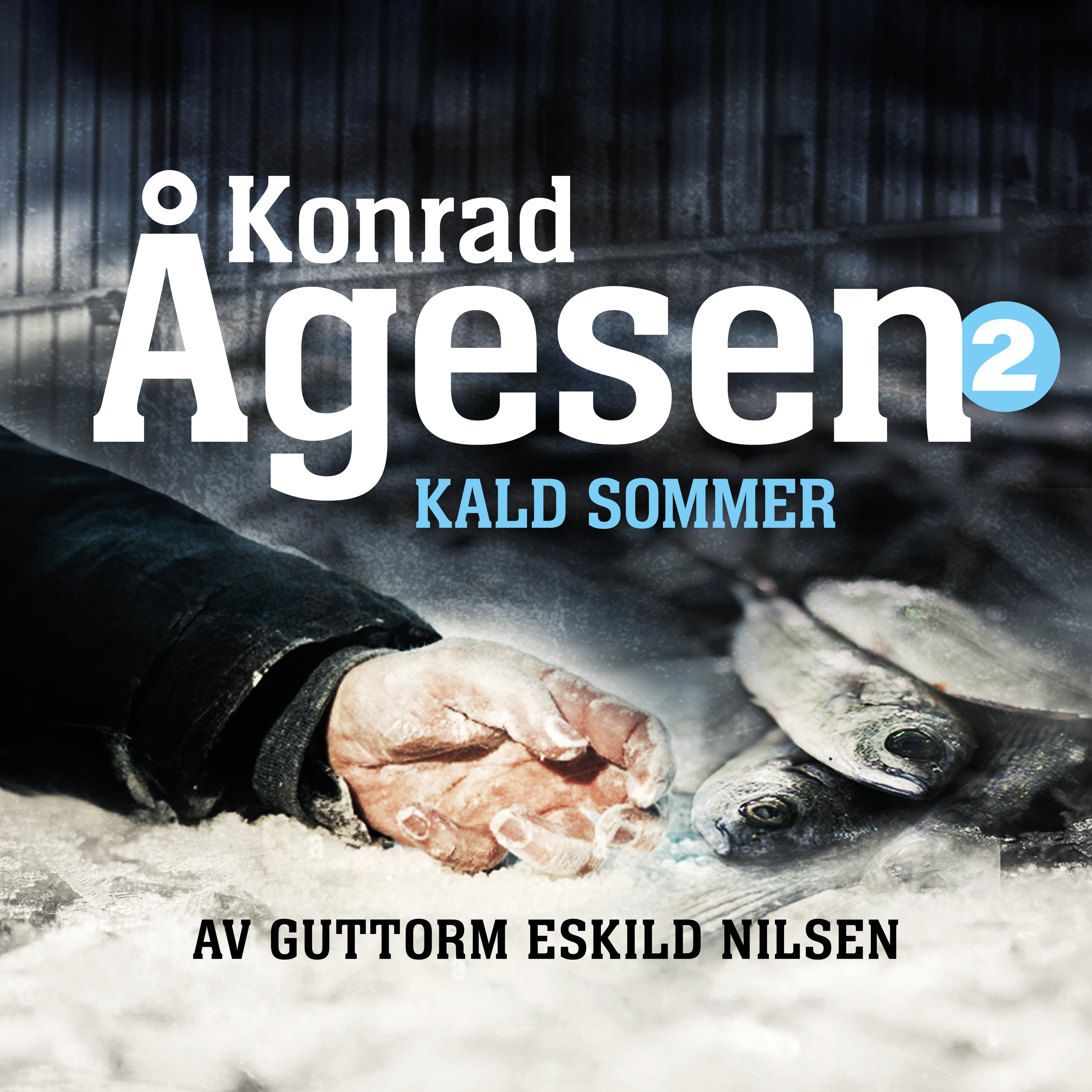 Omslag Kald sommer av Guttorm Eskild Nilsen (Lydbok)
