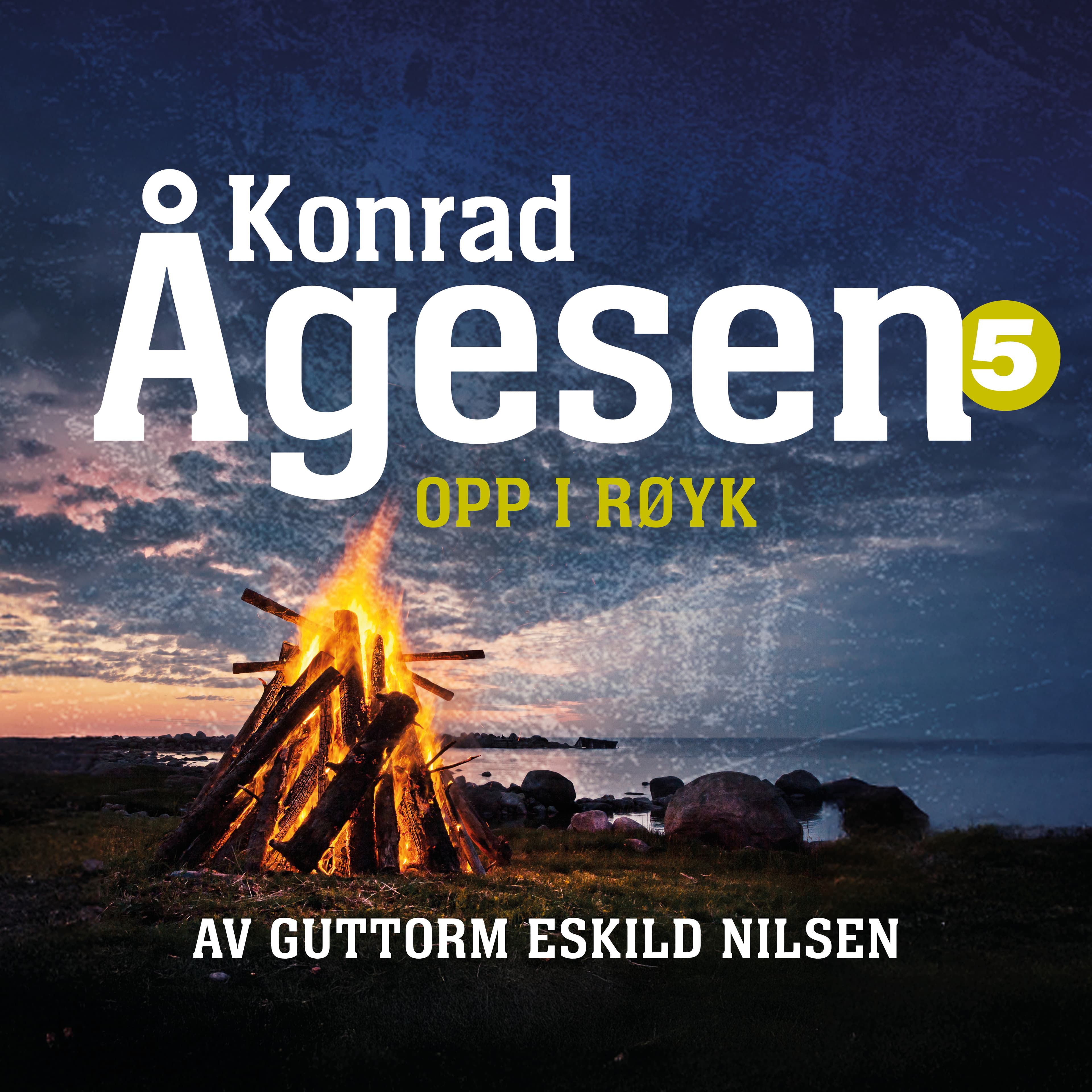 Omslag Opp i røyk av Guttorm Eskild Nilsen (Lydbok)