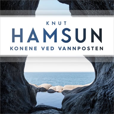 Omslag av "Konene ved vannposten"