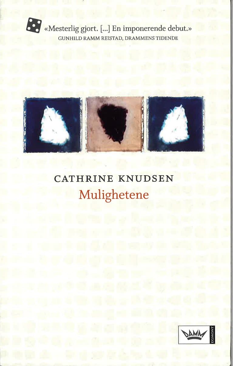 Omslag Mulighetene av Cathrine Knudsen (Heftet)