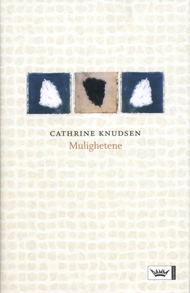 Omslag av "Mulighetene"