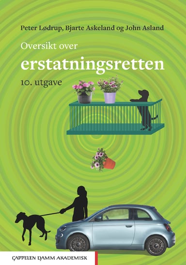 Omslag av "Oversikt over erstatningsretten"