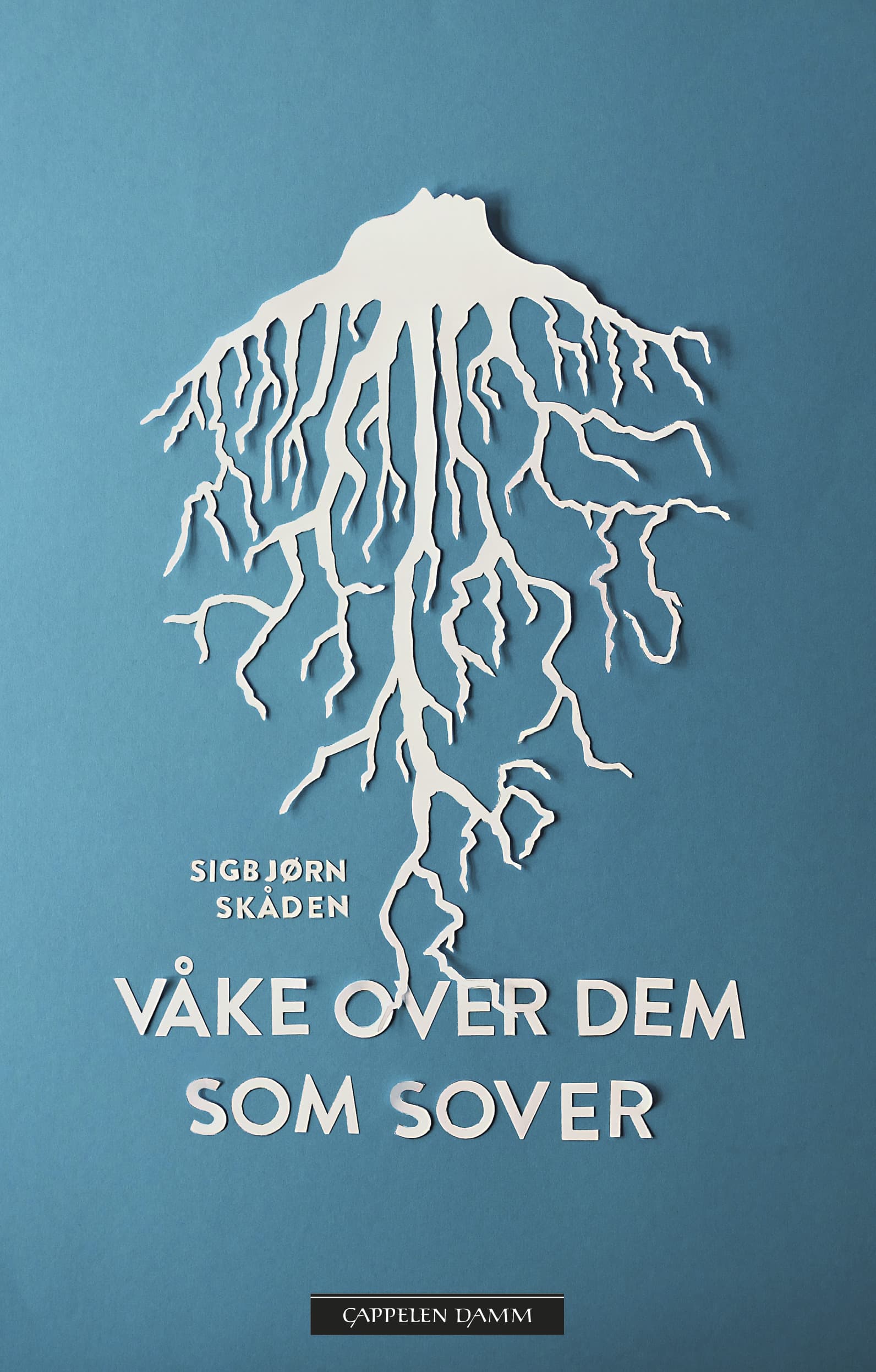 Omslag Våke over dem som sover av Sigbjørn Skåden (Innbundet)