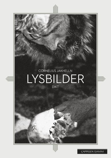 Omslag av "Lysbilder"