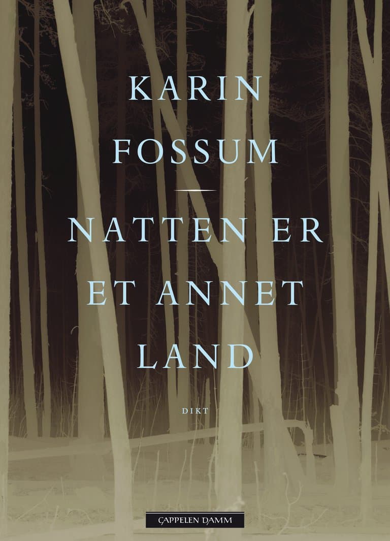 Omslag Natten er et annet land av Karin Fossum (Innbundet)