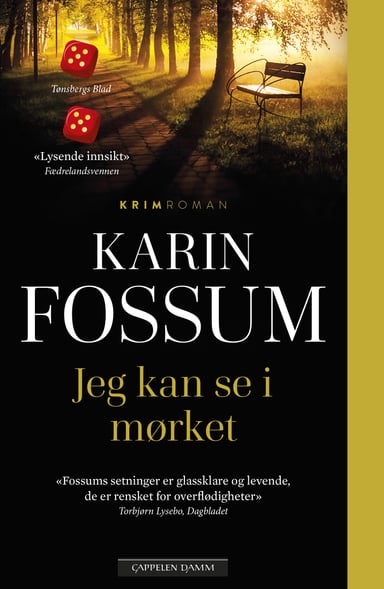 Omslag av "Jeg kan se i mørket"