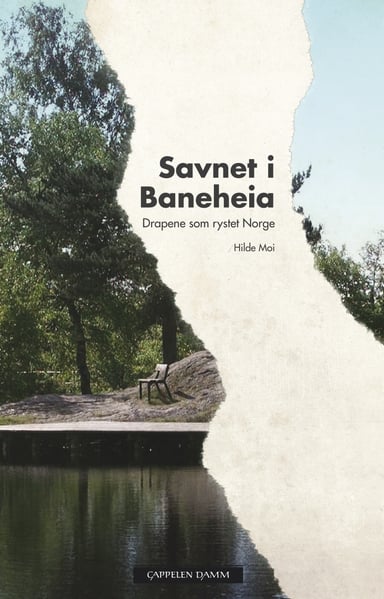 Omslag av "Savnet i Baneheia"