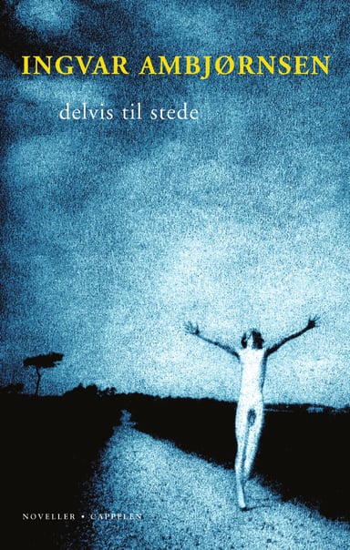 Omslag av "Delvis til stede"