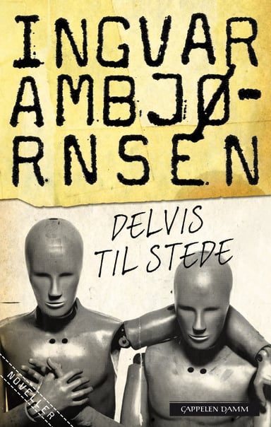 Omslag av "Delvis til stede"
