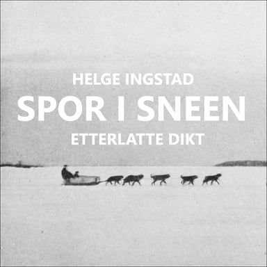 Omslag av "Spor i sneen"
