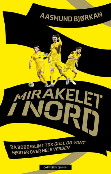 Omslag av "Mirakelet i nord"