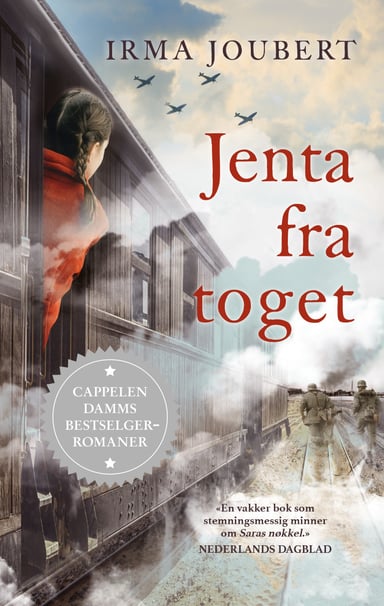 Omslag av "Jenta fra toget"