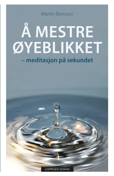 Å mestre øyeblikket